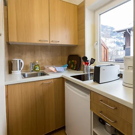 Appartementhaus Lafenthaler Mit Kostenlosem Eintritt In Alpentherme アパート バート・ホーフガシュタイン